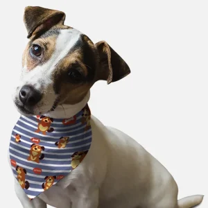 Summer '07 Dog Bandana by BanDoggie