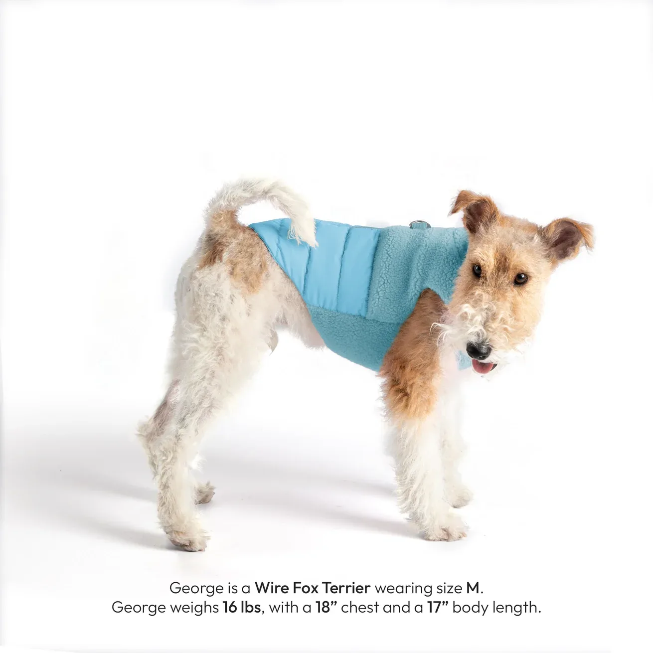 Gooby Sherpa Puffer Vest in Baby Blue - Image 2
