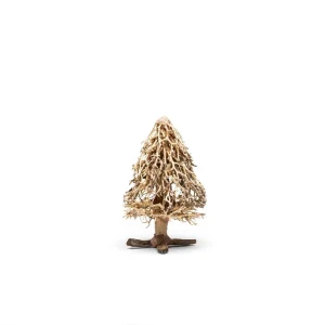 UNS Bonsai 009