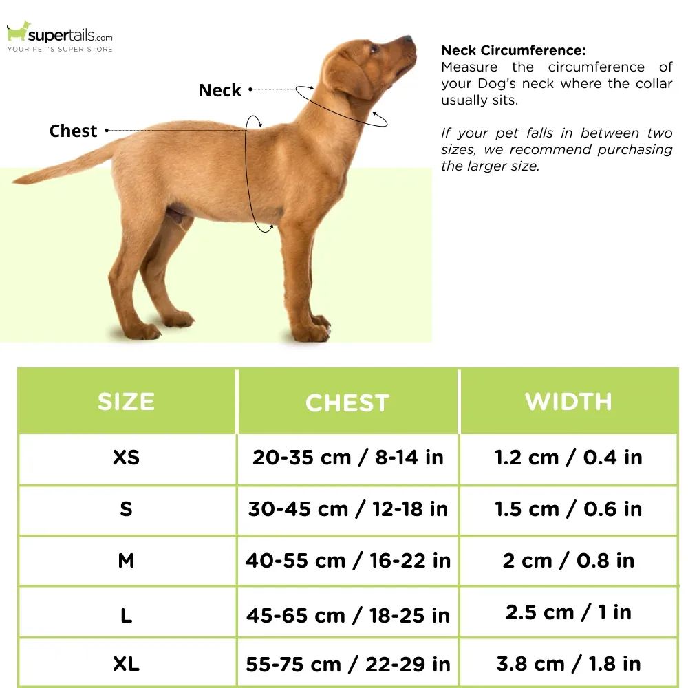 PetsPot Criss Cross H Harness for Dogs (Assorted) - Image 2