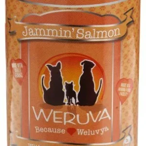 Weruva Jammin' Salmon Canned Dog Food - 14 Oz - Case of 12