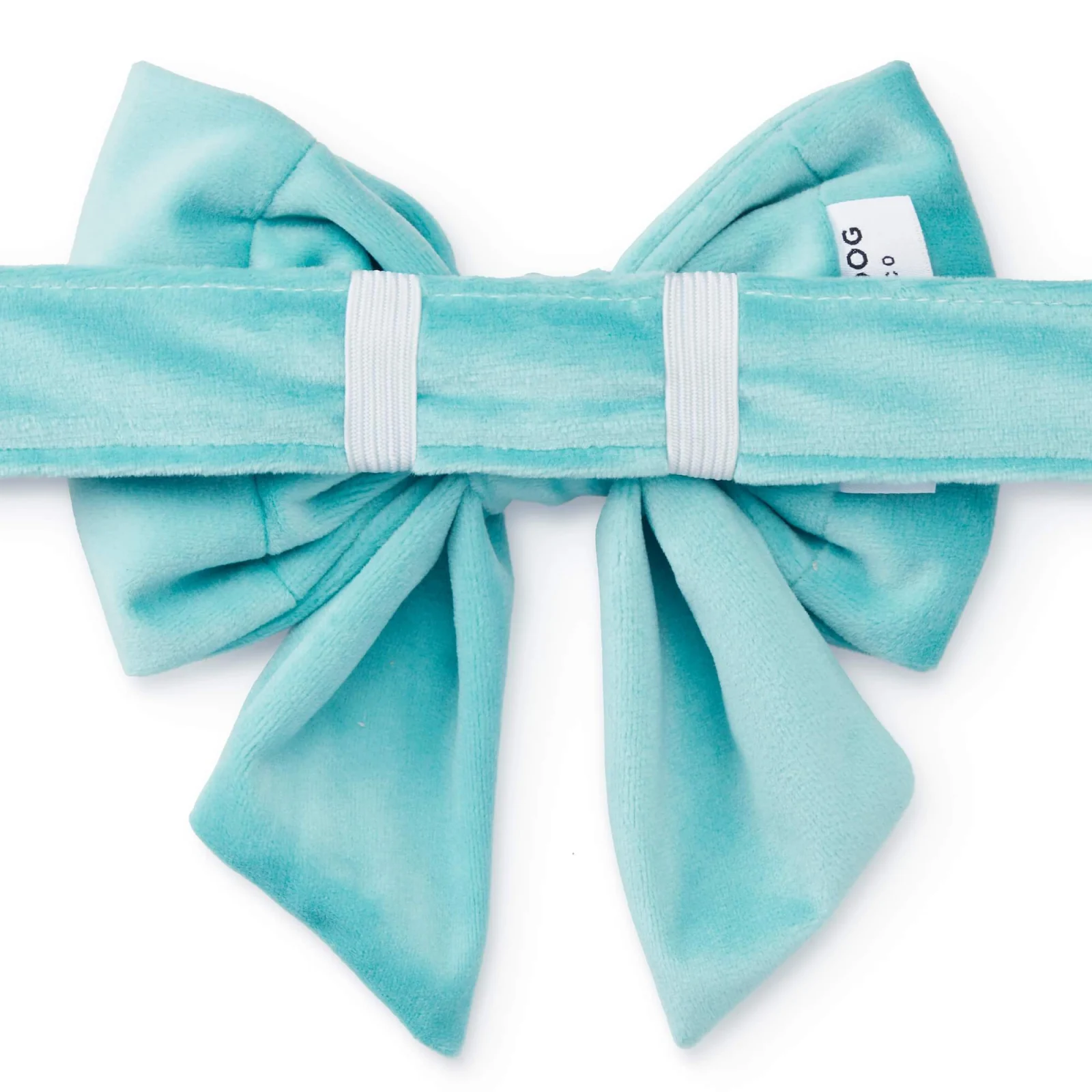 Robin’s Egg Velvet Lady Bow Collar - Image 2
