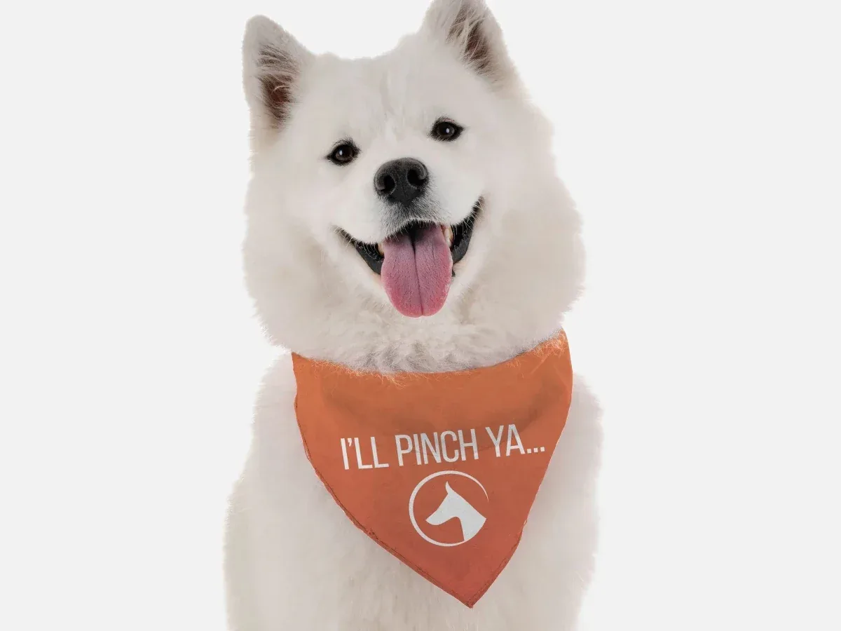 I'll Pinch Ya Dog Bandana by BanDoggie