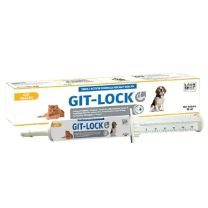 Loonshot Git Lock Paste Gut Health for Dogs and Cats