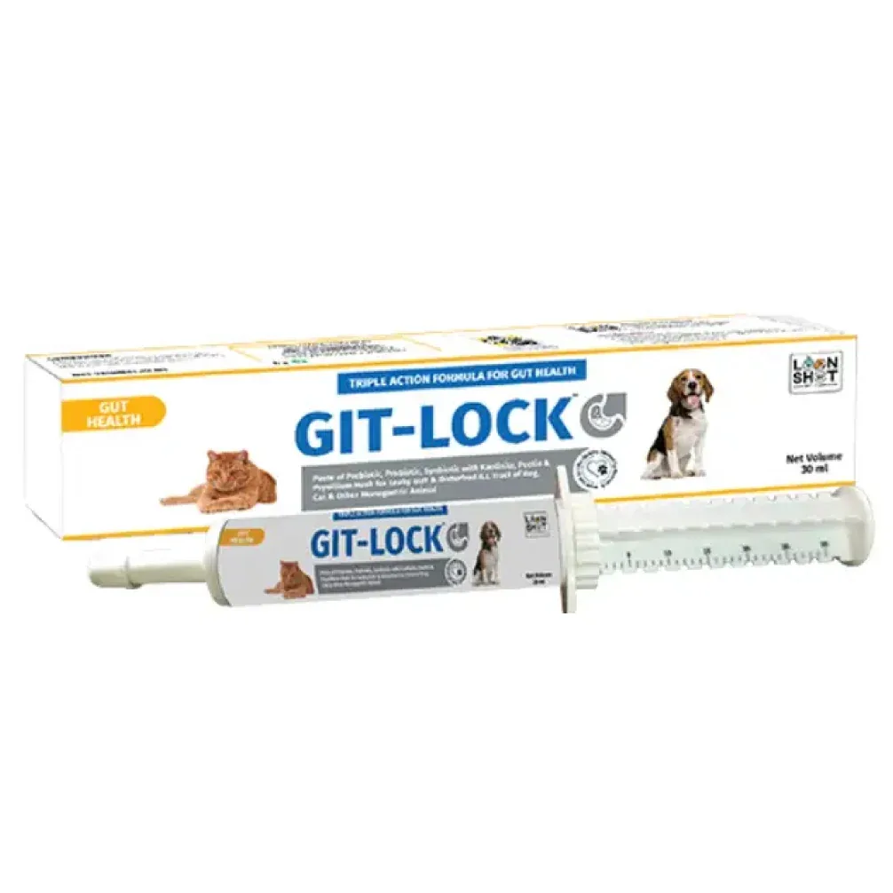 Loonshot Git Lock Paste Gut Health for Dogs and Cats