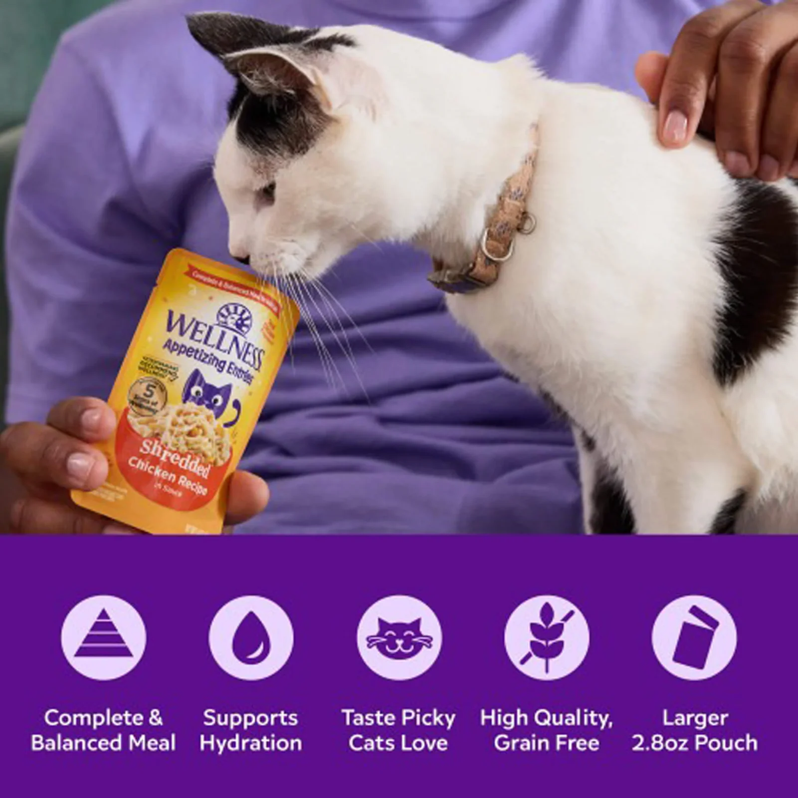 Wellness Appetizing Entrees Grain Free Mousse Cat Food Pouches - Image 2