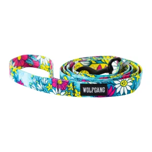 LazyDaisy Dog Leash