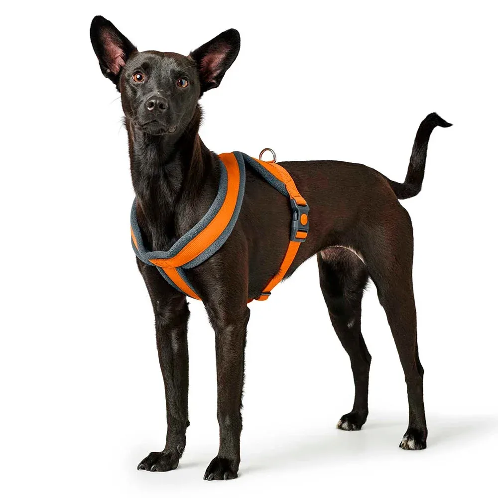 Hunter London Comfort Harness for Dogs (Orange)