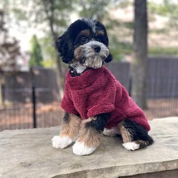 Soft Plush Pullover in Burgundy - Image 2