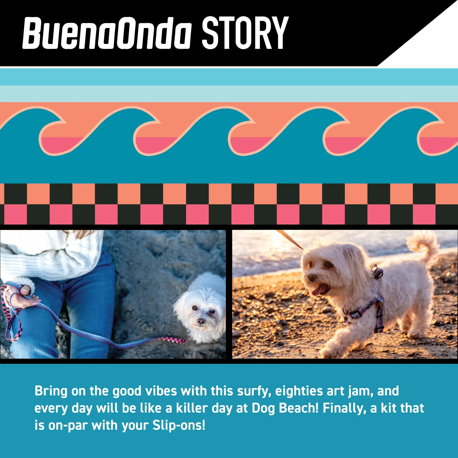 BuenaOnda Comfort Dog Harness - Image 2