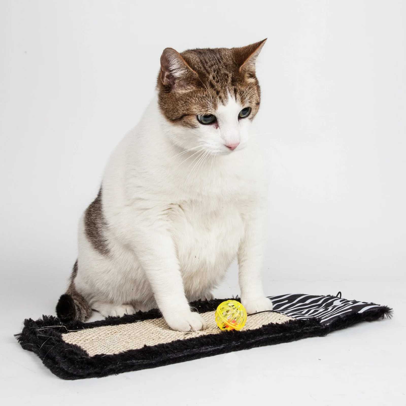 Pet Life ® 'Scrape-Away' Sisal and Jute Hanging Carpet Cat Scratcher Toy - Image 2