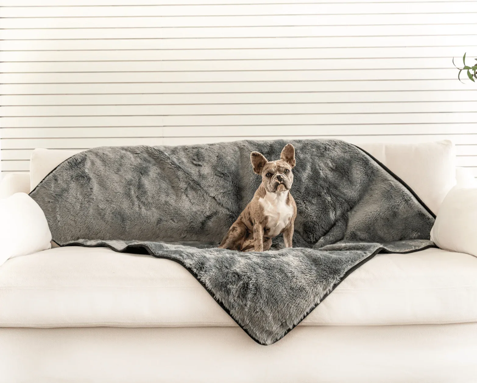 PupProtector™ Summer Short Fur Waterproof Throw Blanket - Charcoal Grey - Image 2