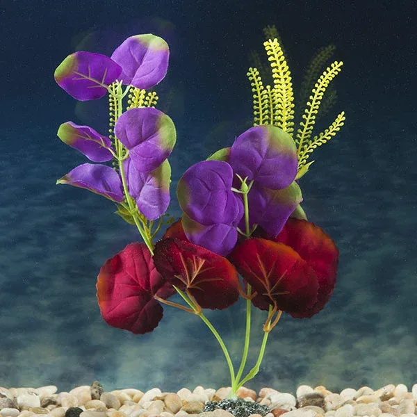Marina Naturals Indigo & Deep Red Moneywort Silk Plant - Image 2