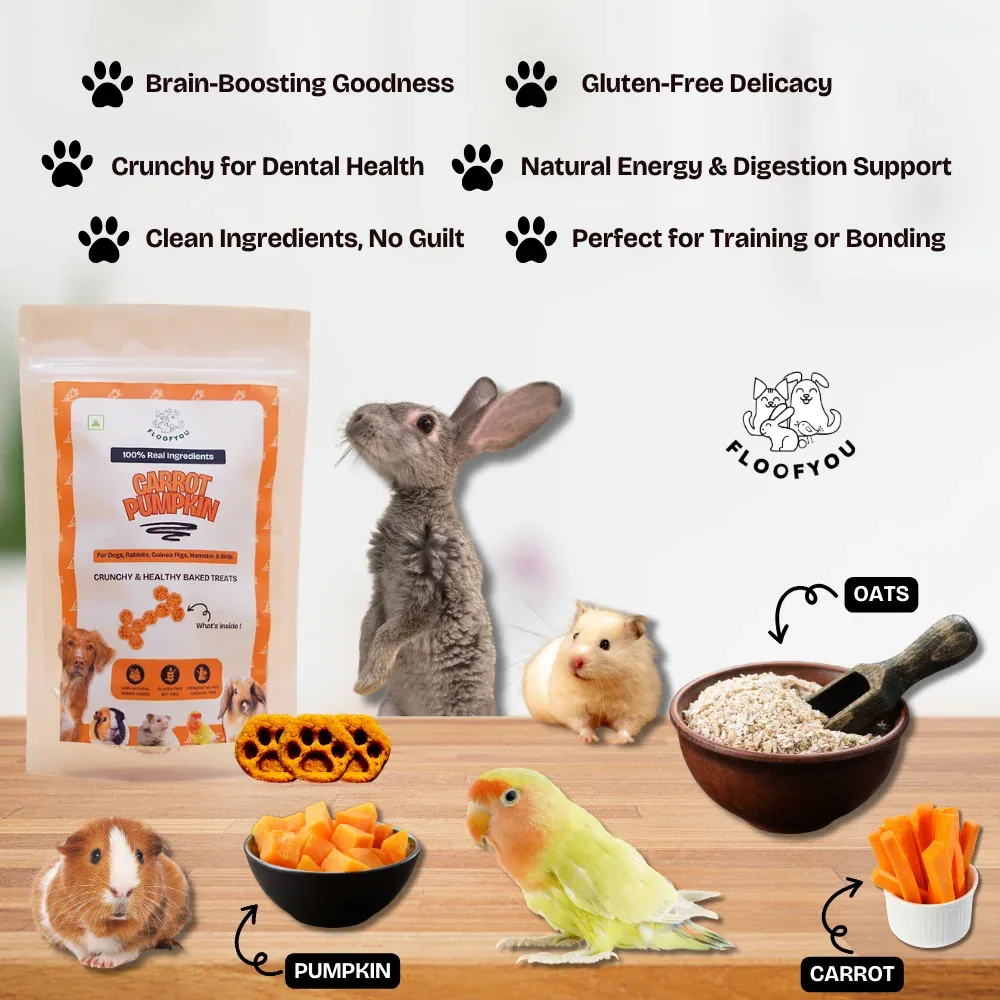 FloofYou Oven Baked Carrot Pumpkin Small Animal Treats - Image 2