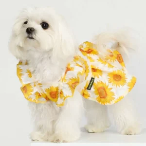 Ruffle Sleeves Sundress in Yellow