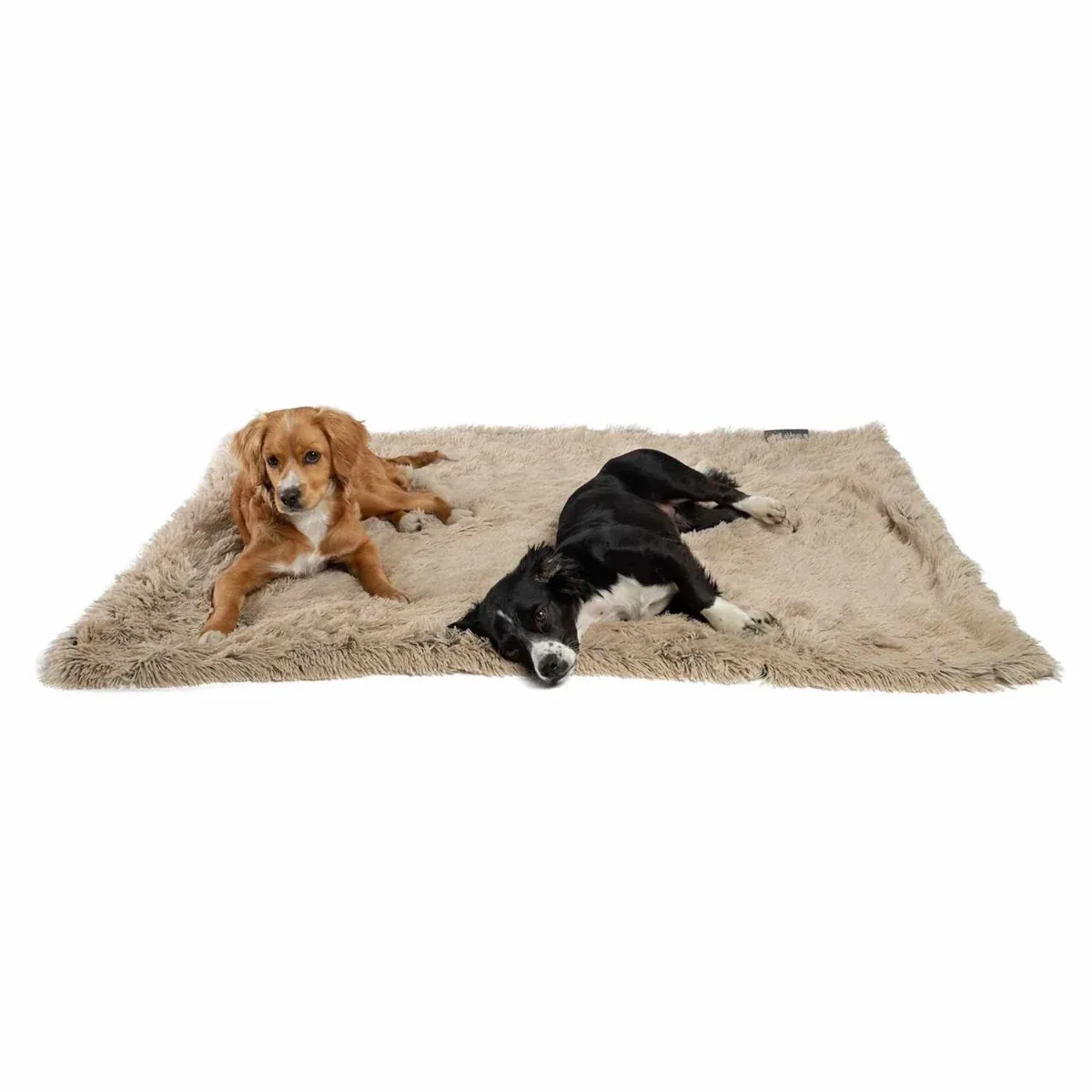 Best Friends by Sheri Blanket Shag, Taupe - Image 2