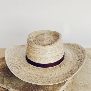 DOG WALKING HAT