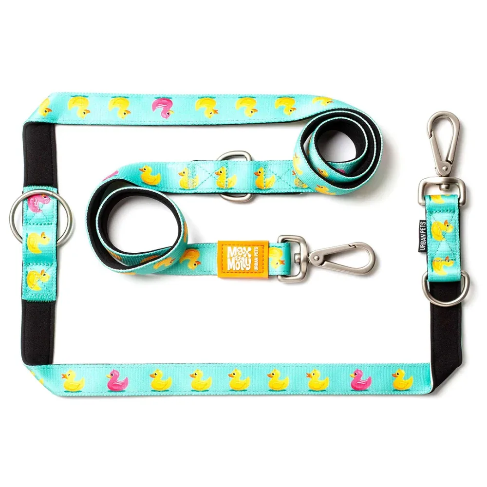 Max & Molly Ducklings Multi-Function Leash for Dogs (Blue)