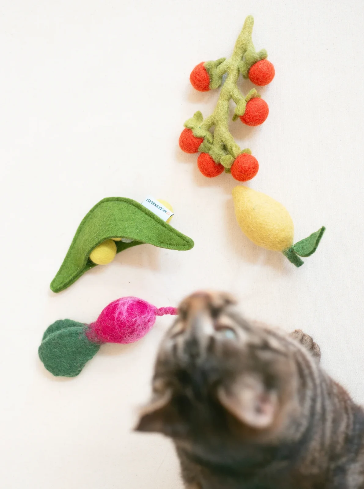 FARMER'S MARKET CAT TOY BUNDLE - Image 2