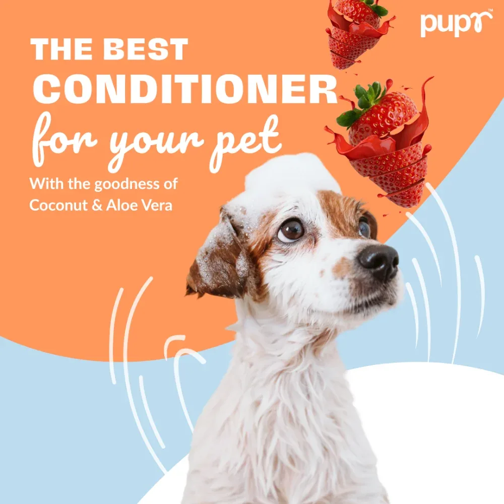 Pupr Moisturizing Strawberry Flavoured Conditioner for Dogs - Image 2