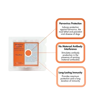 NeoPar® Parvo Vaccine for Dogs, 25x1 dose - Image 2