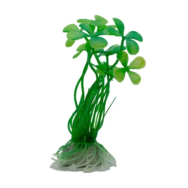 LiveAquaria® Assorted Platy and Decor Bundle - Image 2