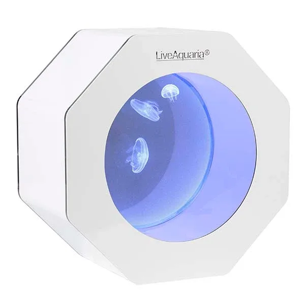 LiveAquaria® Octi Aquarium - Image 2