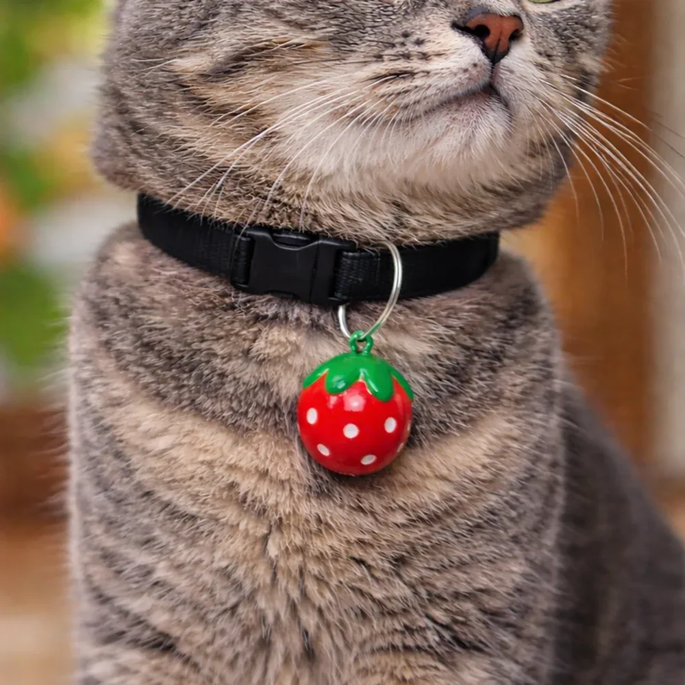Talking Dog Club Strawberry Collar Bell for Kittens & Cats (Red) - Image 2