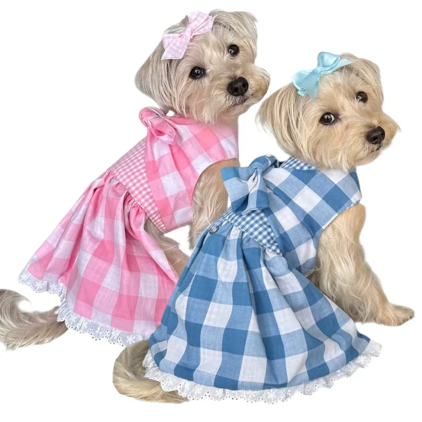 Gingham Picnic Dress in 2 Colors