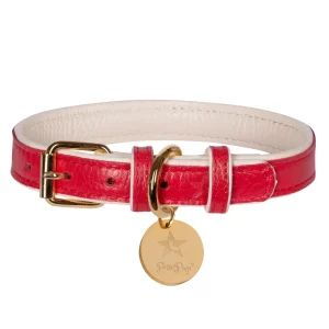 PoisePup Dog Harness, Melting hearts