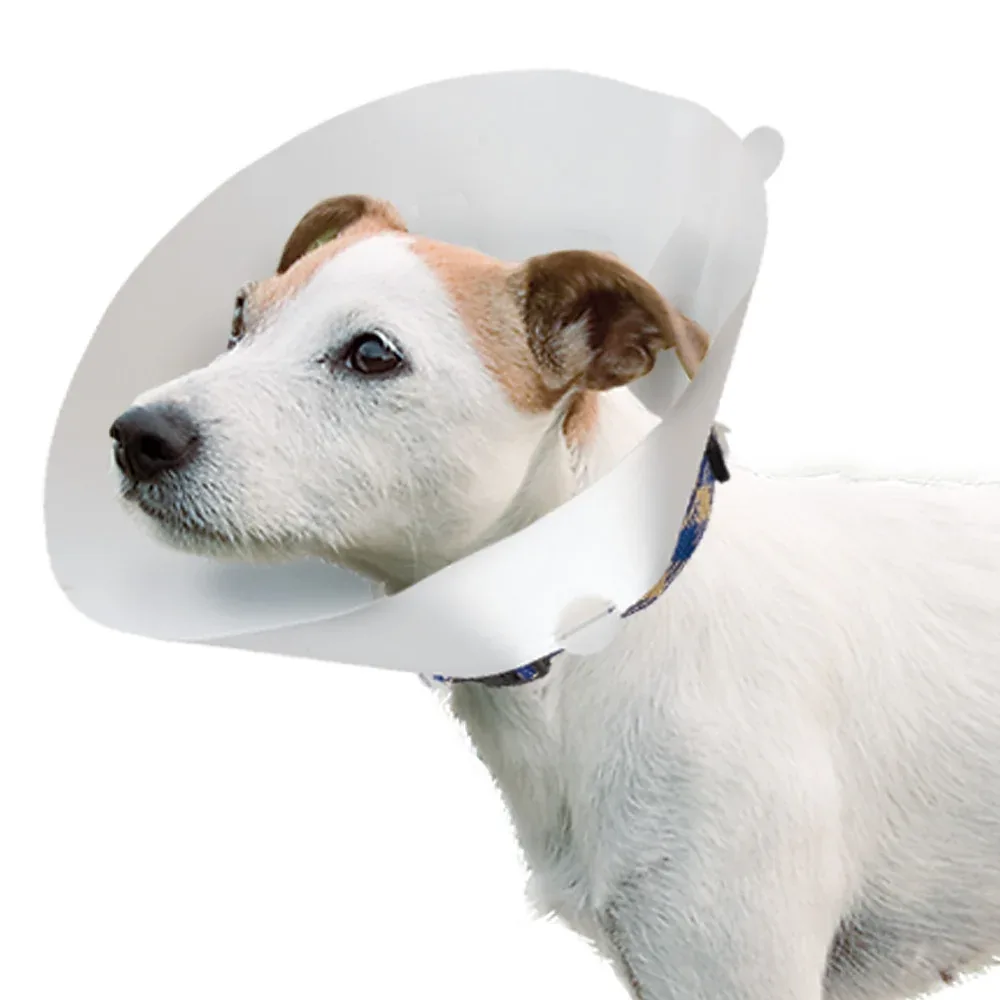 GRO 6004 - Image 2