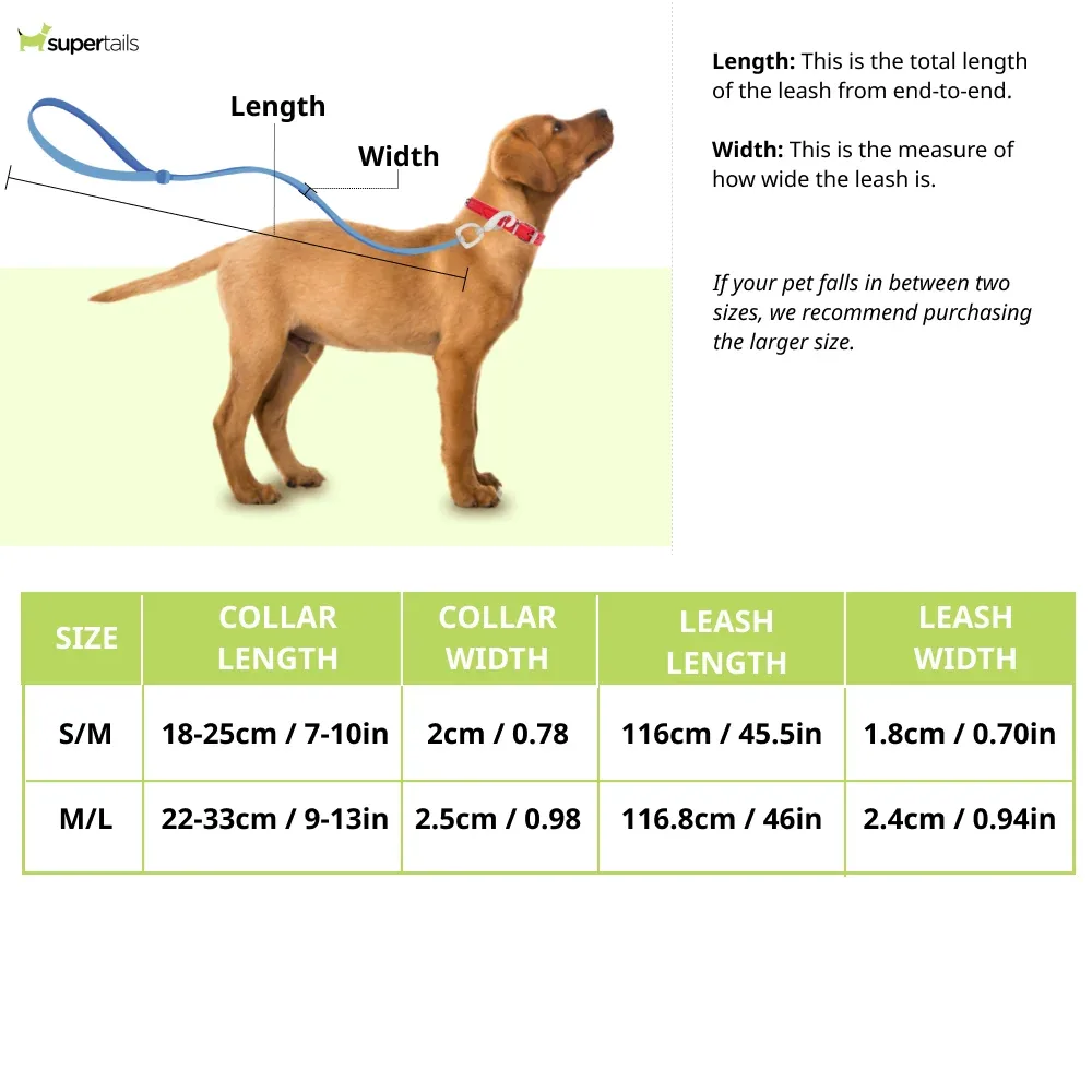 Pawpourri Nylon Webbing Leash & Collar for Cats & Dogs (Red) - Image 2