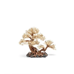 UNS Bonsai 011