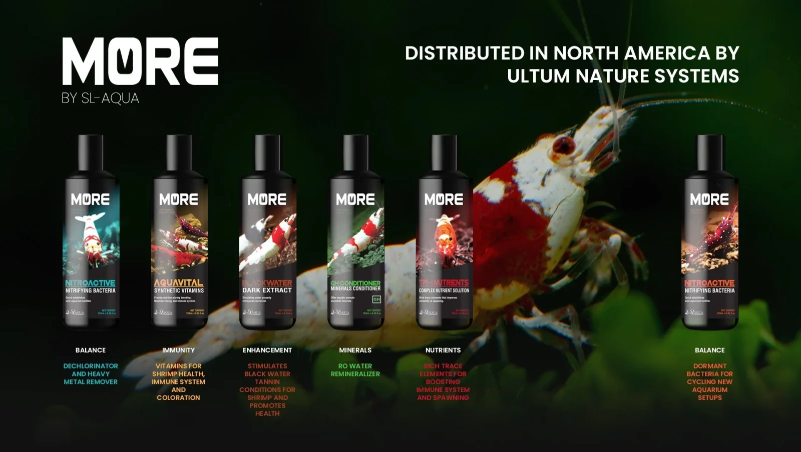 SL-Aqua Black MORE Nitrifying Bacteria for Sulawesi Shrimp - Image 2