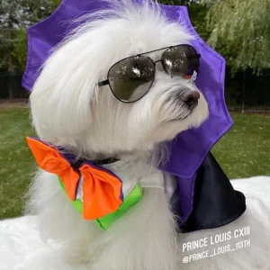 Dogula Costume