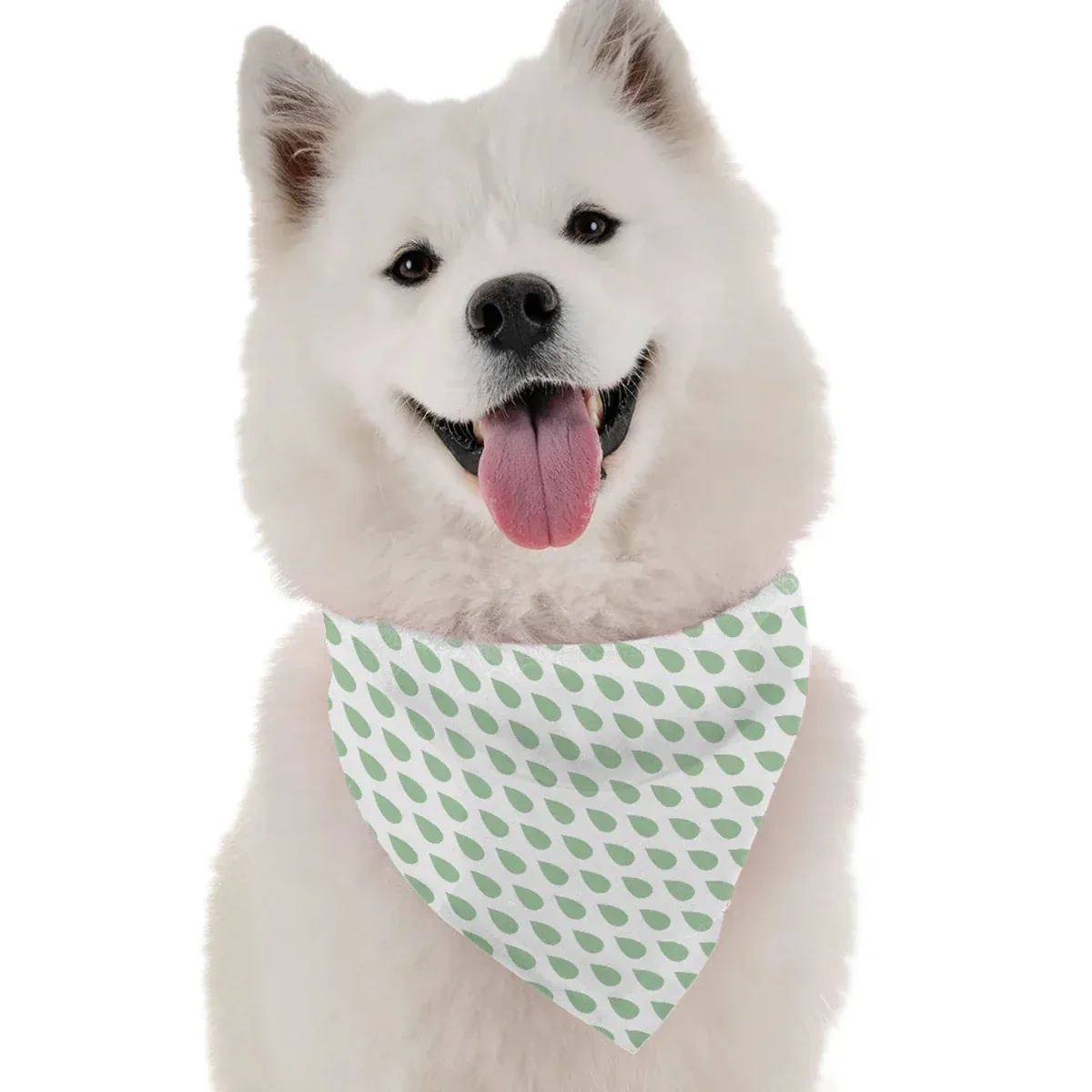 Tee Drops Dog Bandana by BanDoggie