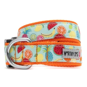Tutti Frutti Collar & Lead Collection