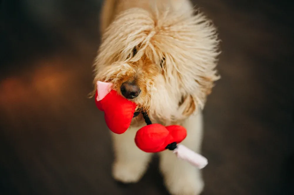 Puppy Love Fur-ever Hearts - Image 2