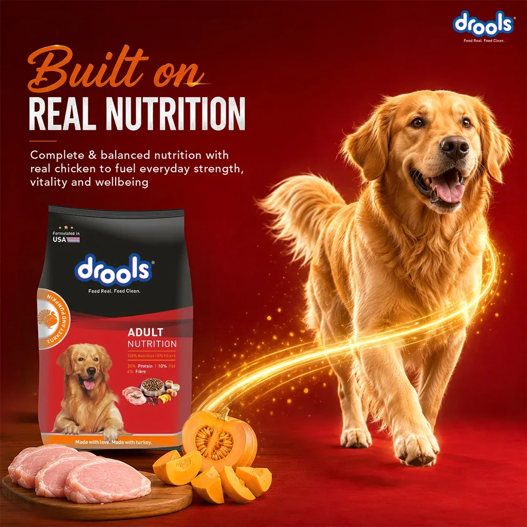 Drools Turkey and Pumpkin Adult Dog Dry Food - Image 2