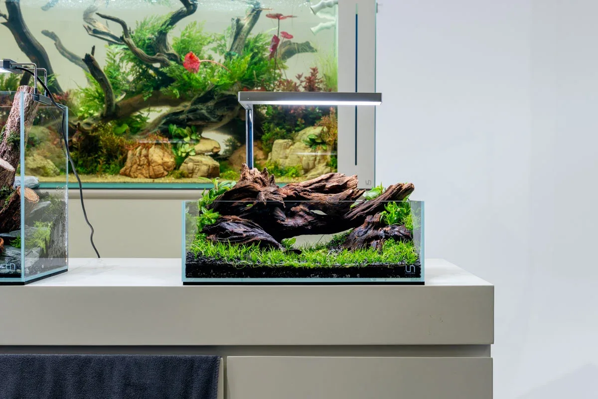 UNS 5S - 2.5 Gallon Ultra Clear Rimless Aquarium - Image 2