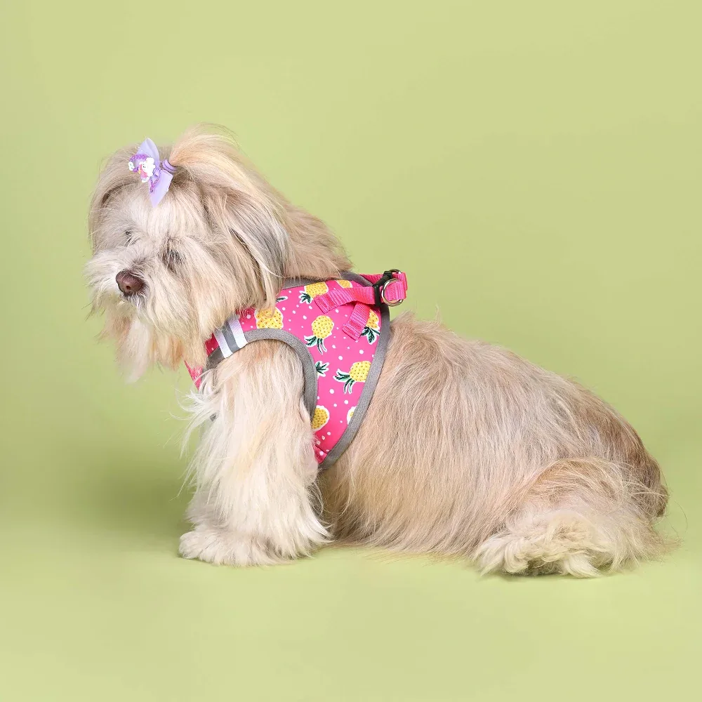 Pets Way Pine Air Mesh Printed Harness for Puppies and Small Dogs - Image 2