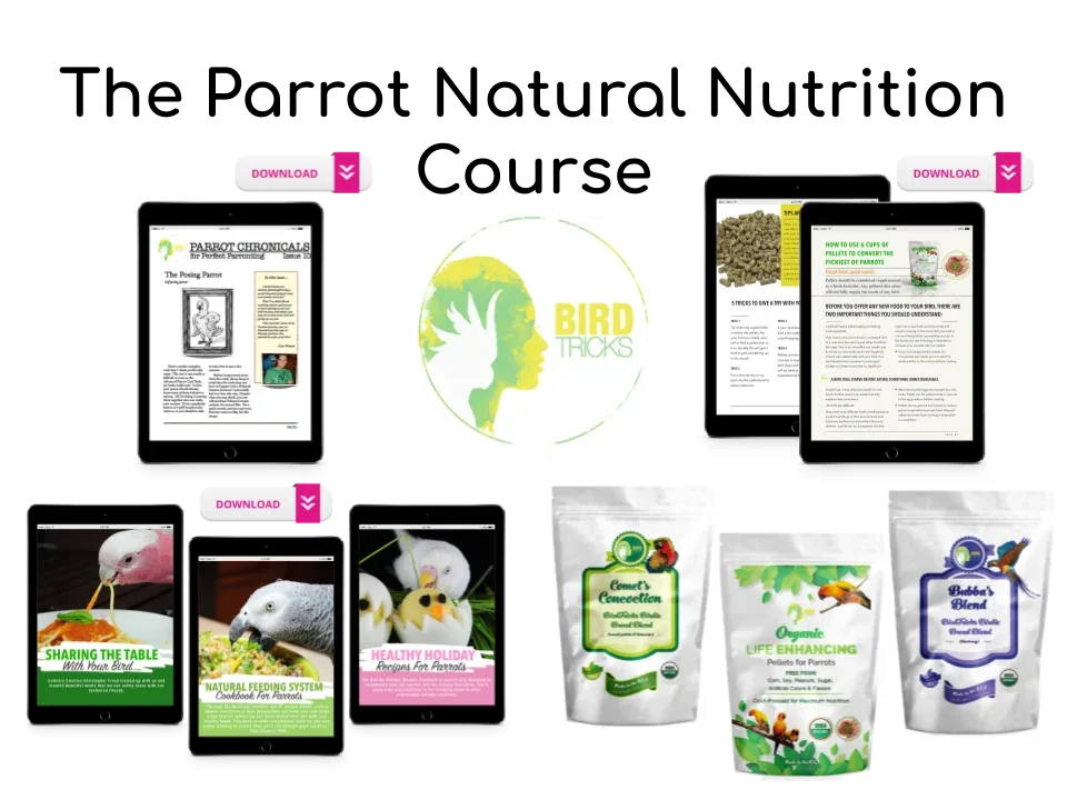The Parrot Natural Nutrition Course
