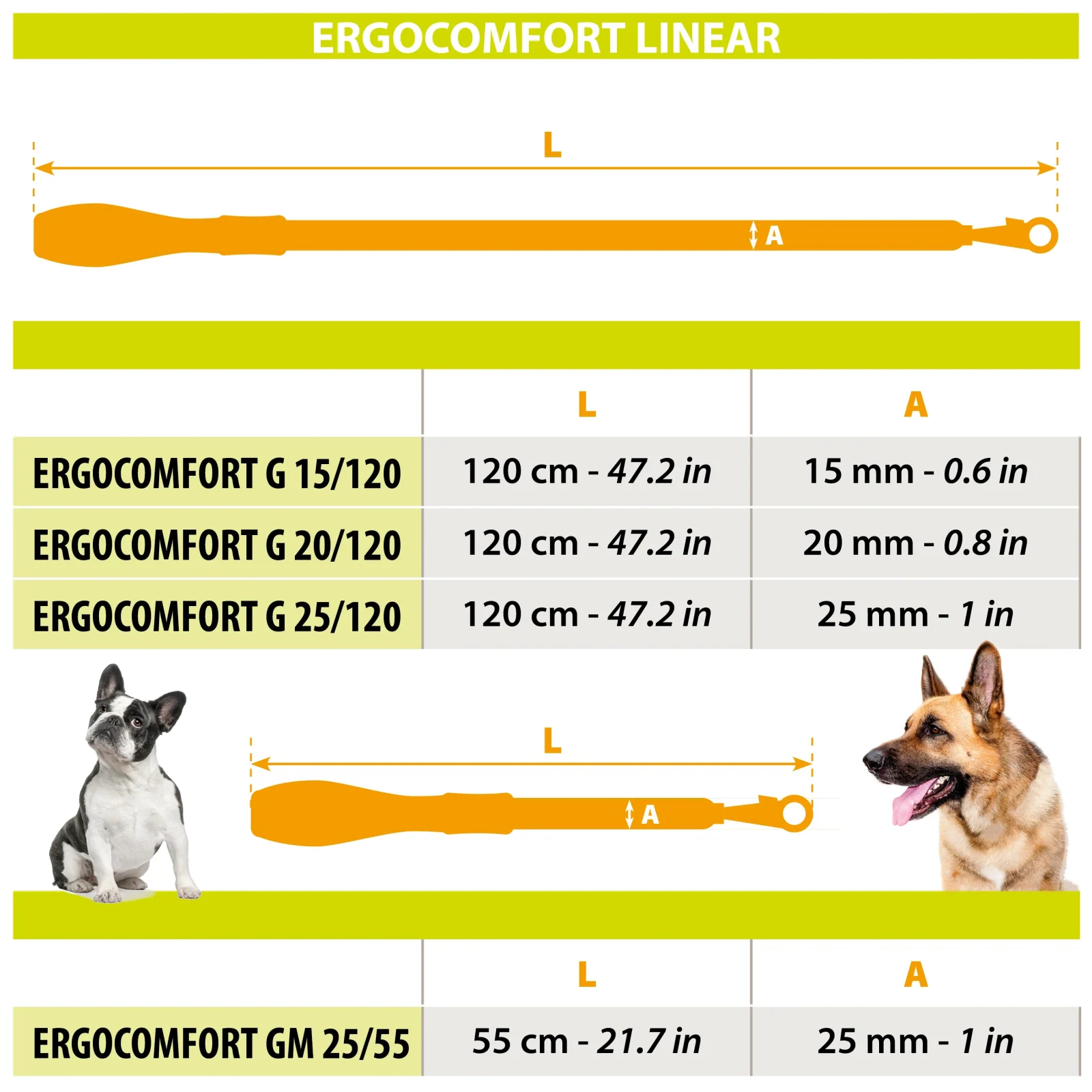 ERGOCOMFORT G - Image 2