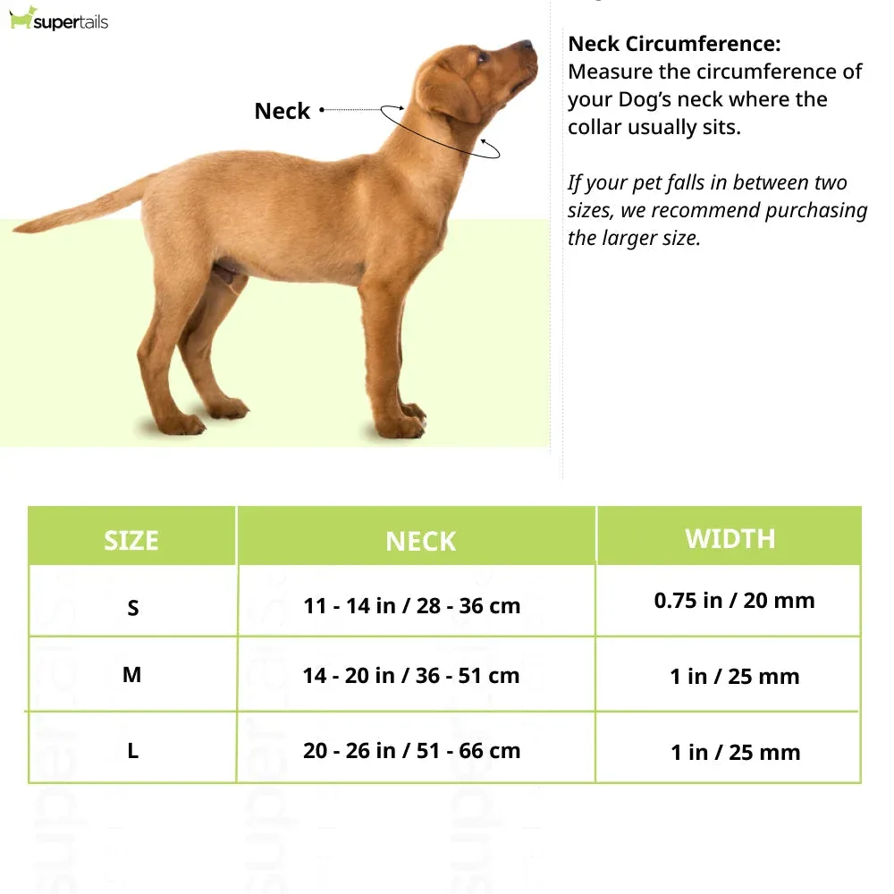 Ruffwear Front Range Collar for Dogs (Red Clay) - Image 2