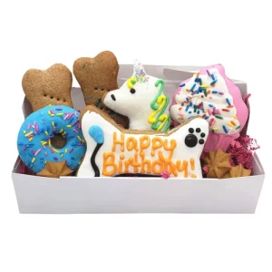 Celebration Box - it's a party in a box!
