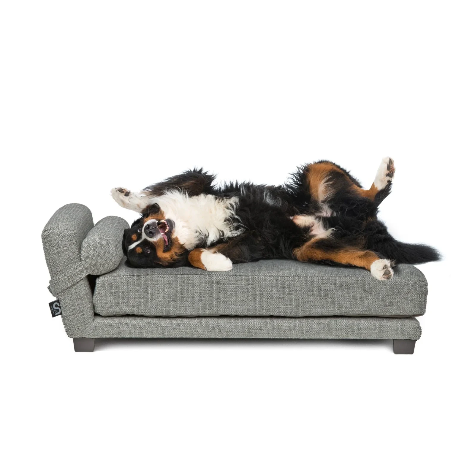Club Nine Pets Bada Orthopedic Dog Bed in Metal - Image 2