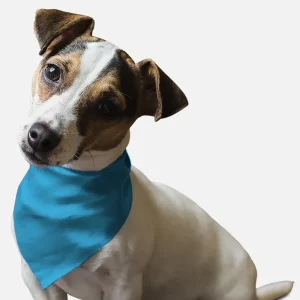 Swimming Pool Blue Dog Bandana by BanDoggie