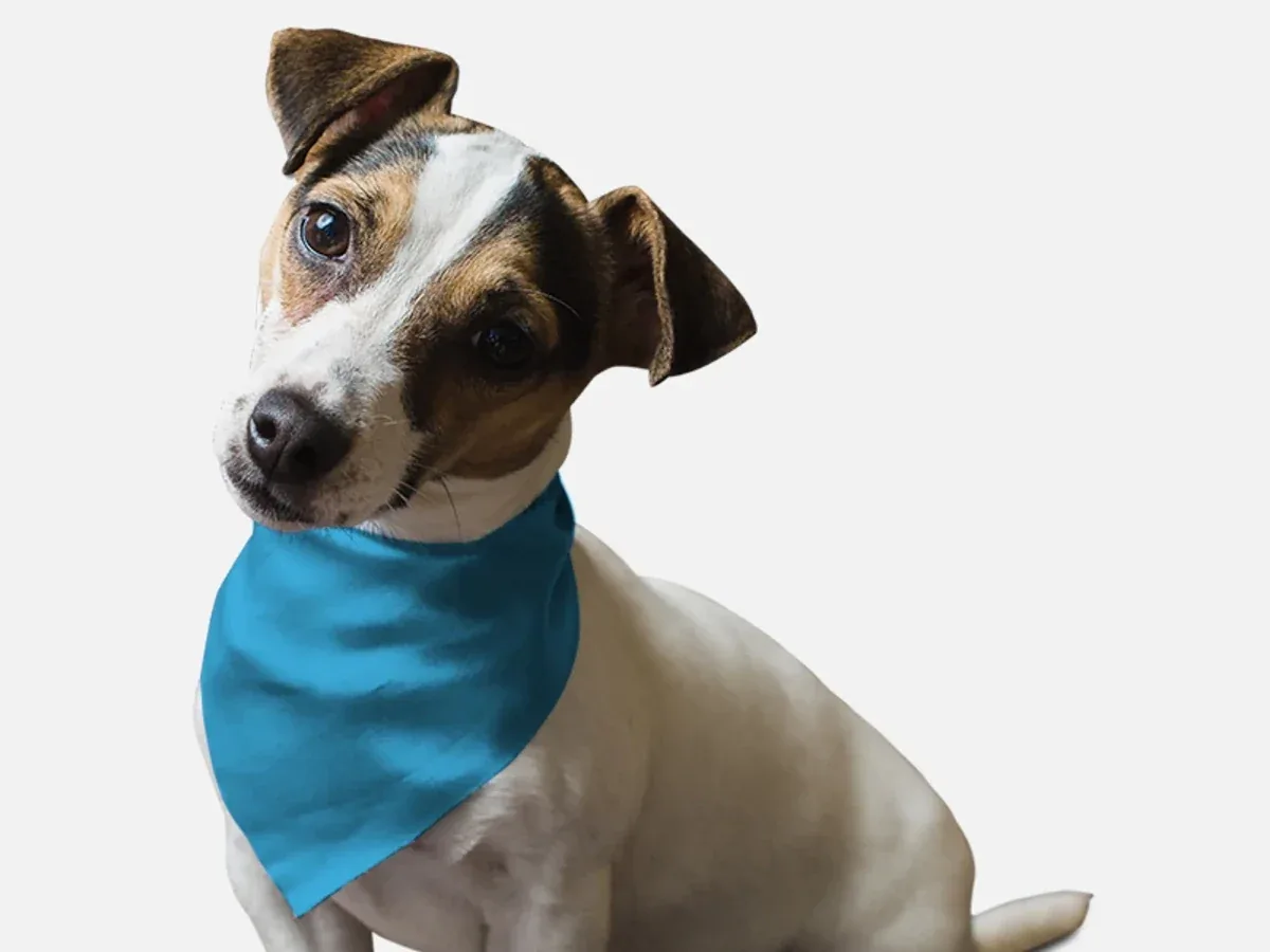 Swimming Pool Blue Dog Bandana by BanDoggie