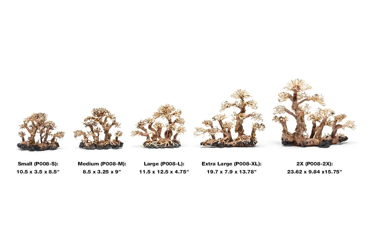 UNS Bonsai 008 - Image 2