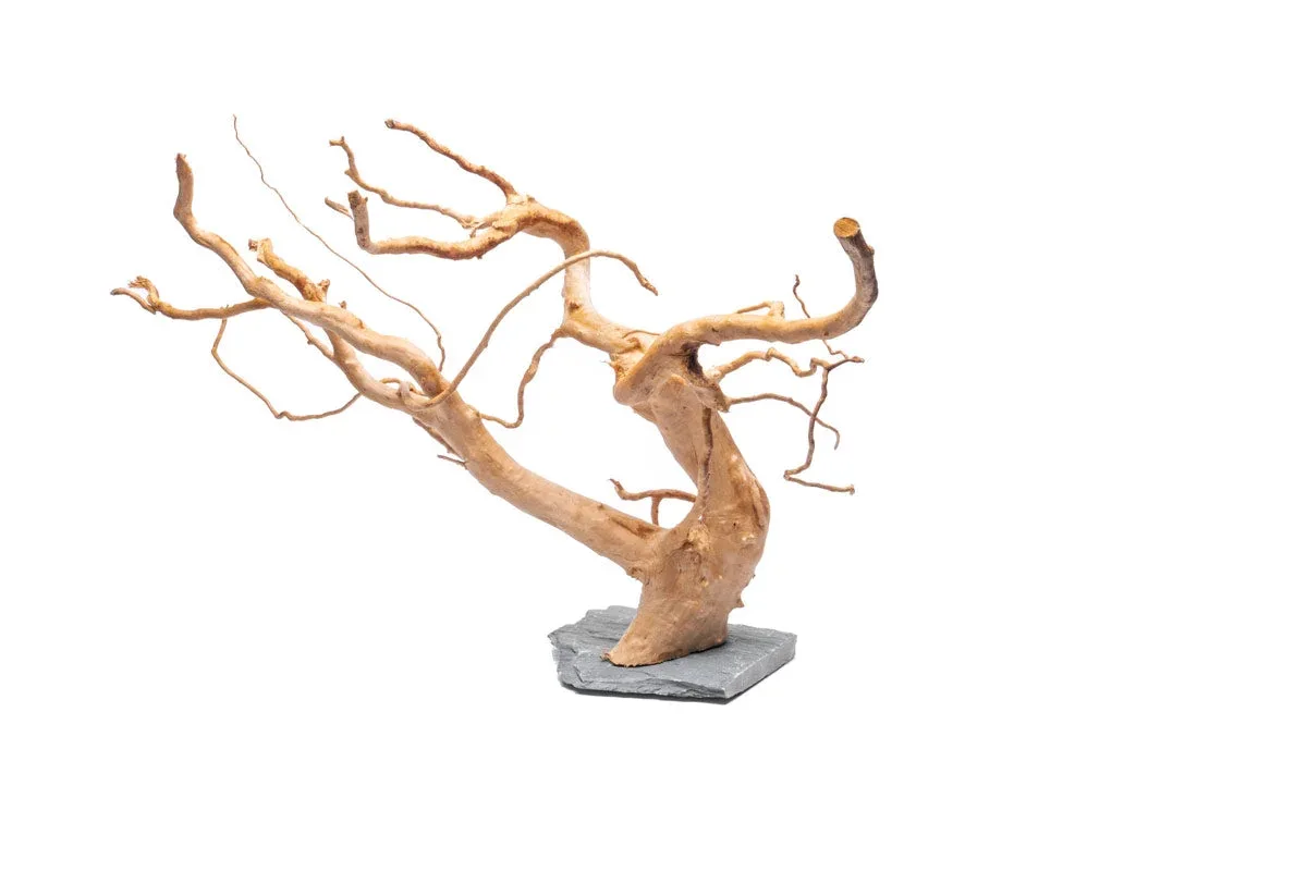 Spiderwood on Slate - Image 2
